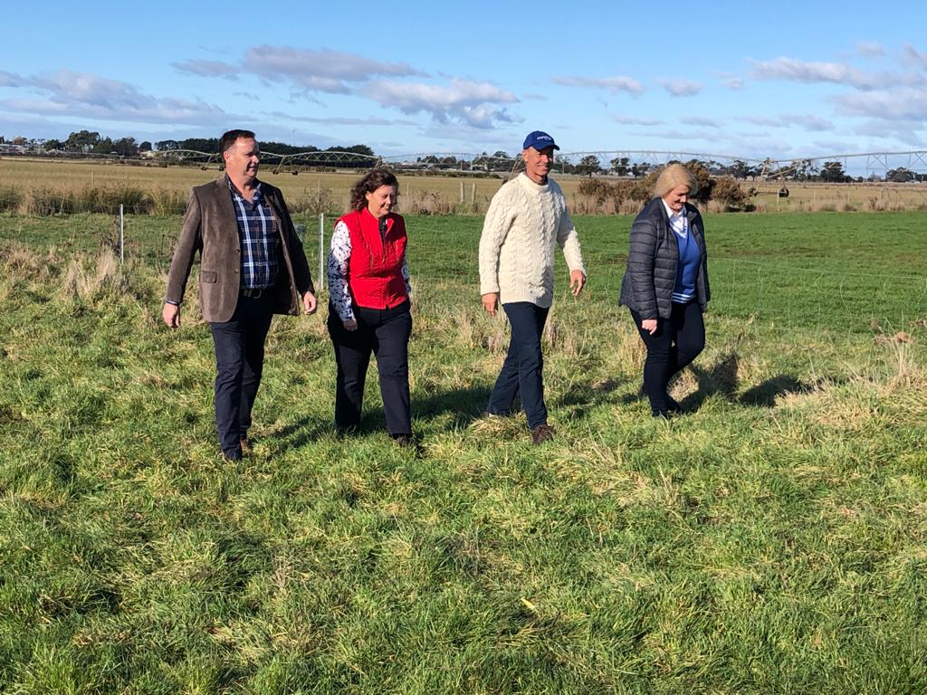 Four people are walking in a grassy field on a sunny day, discussing ideas about starting a business. They are dressed in casual outdoor clothing, including jackets and sweaters. The background shows open fields with scattered trees and a partly cloudy sky.