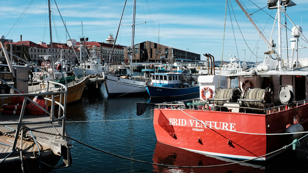 Fishing boats docked in a harbor with buildings in the background. The closest boat is red and named "BRID VENTURE" from Hobart. The water is calm, and the sky is clear, indicating a sunny day. Various equipment and maritime structures are visible around the harbor—a picturesque scene perfect for new business ideas for women starting a business.