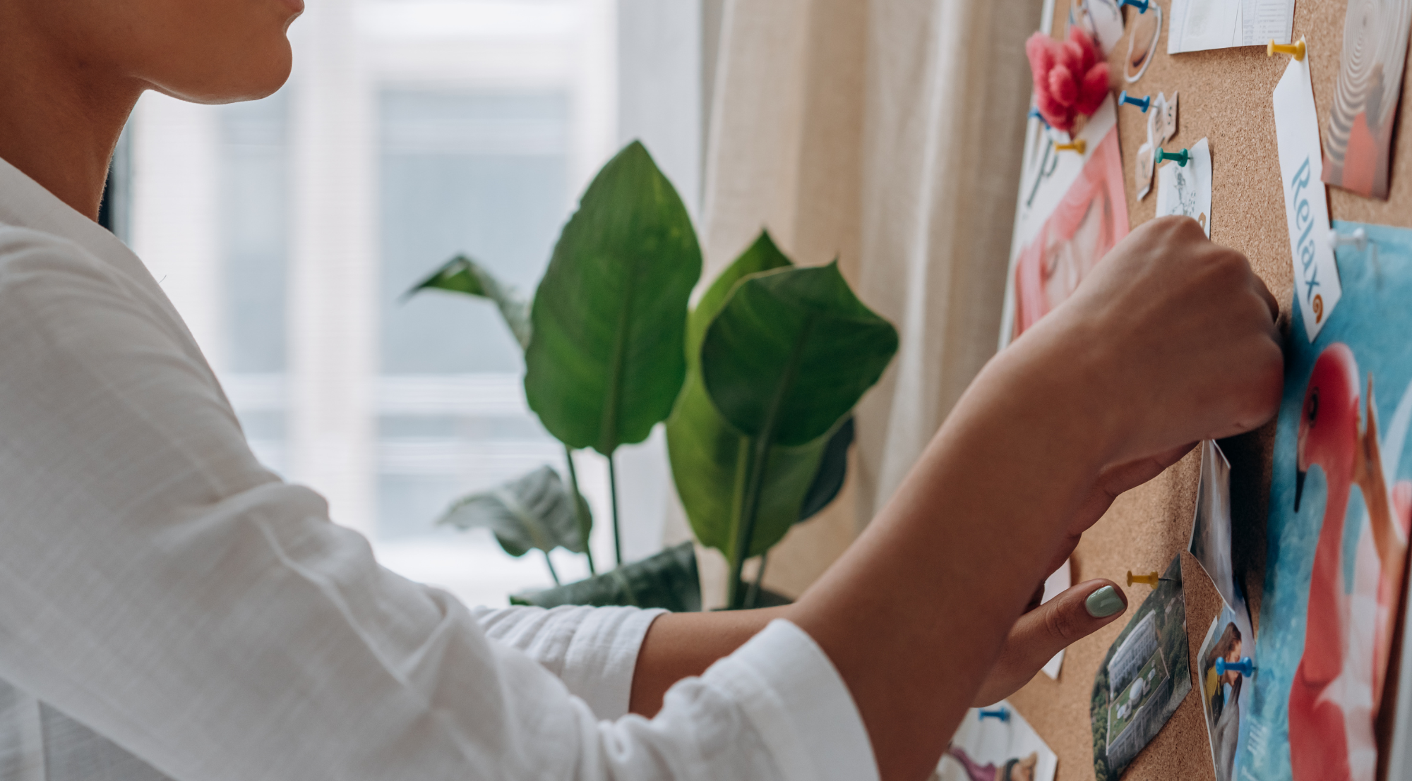 Person pinning images and notes to a corkboard, with a plant and window in the background.